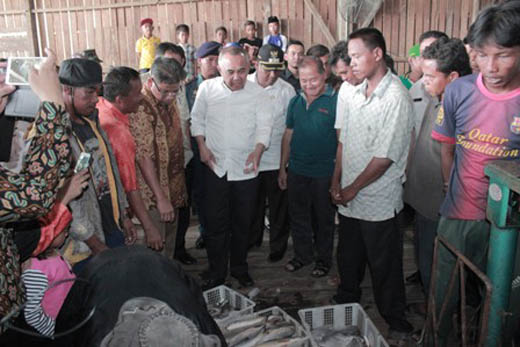 Berantas Pengangguran, Pemkab Rohil Akan Membuka Dua Lapangan pekerjaan Baru